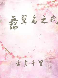 无翼乌之我的教师