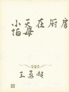 小天在厨房插杨伯母