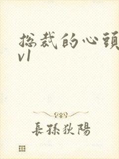 总裁的心头宝1v1