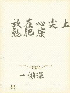 放在心尖上七猫勉肥康