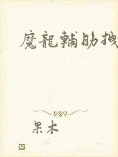 魔龙辅助拽拽