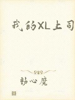 我的XL上司