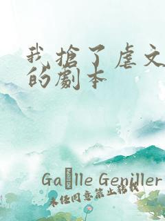 我抢了虐文男主的剧本