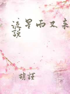 流星雨又来临小说