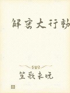 解密大行动