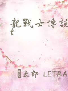 龙战士传说txt