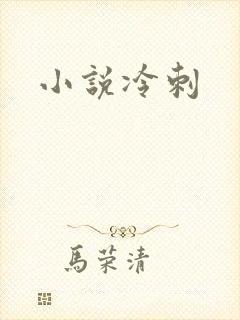 小说冷刺
