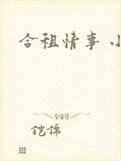 合租情事 小说