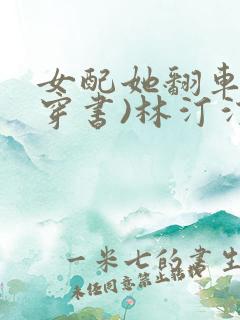 女配她翻车了(穿书)林汀汀