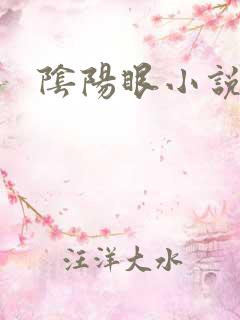 阴阳眼小说