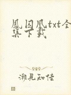 凤囚凰txt全集下载