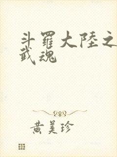 斗罗大陆之三生武魂