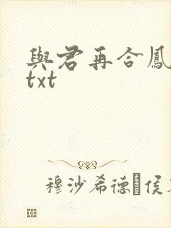 与君再合凤求凰txt