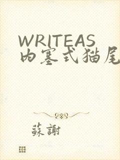 WRITEAS内塞式猫尾