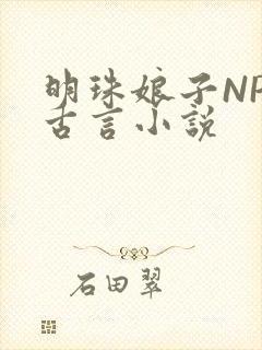 明珠娘子NPC古言小说