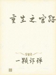 重生之官路情长