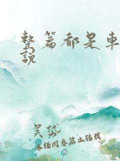 整篇都是车的小说