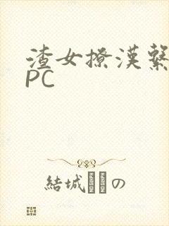 渣女撩汉系统NPC