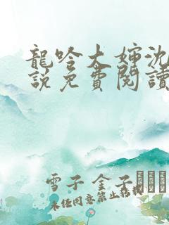 龙吟大婶沈浩小说免费阅读笔趣阁