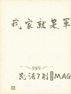 我家就是军火铺