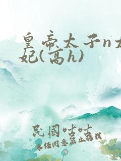皇帝太子n太子妃(高h)