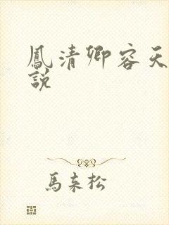 凤清卿容天凌小说