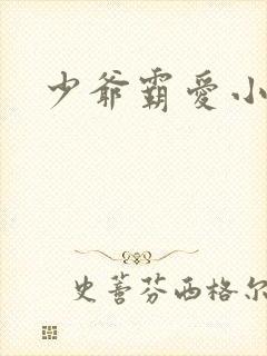 少爷霸爱小丫头