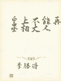 皇上不能再进了丞相大人