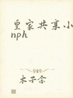 皇家共享小公主nph