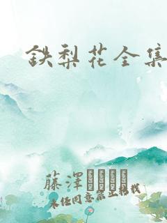 铁梨花全集下载