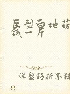 巨型白地菇多少钱一斤