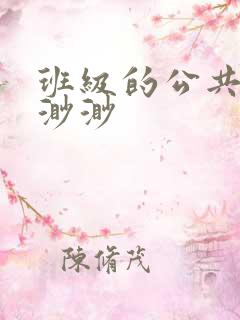 班级的公共玩具渺渺