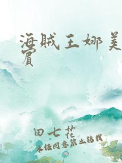 海贼王娜美h罗宾