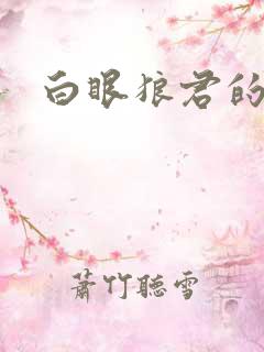 白眼狼君的小说