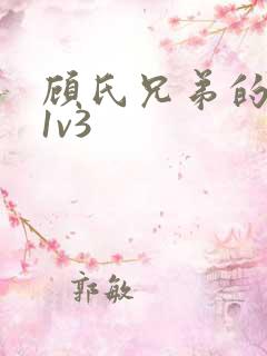 顾氏兄弟的南宁1v3