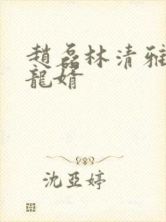 赵磊林清雅上门龙婿