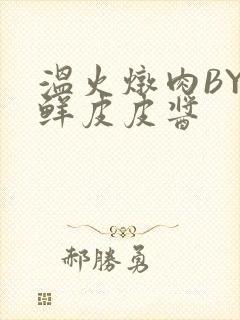 温火炖肉BY海鲜皮皮酱