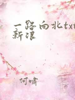 一路向北txt新浪