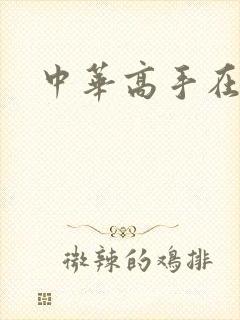 中华高手在异世