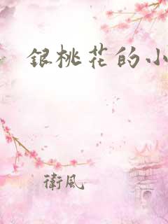 银桃花的小说