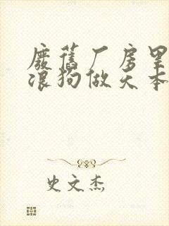 废旧厂房里和流浪狗做天本