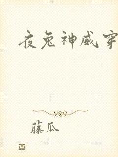 夜兔神威穿越