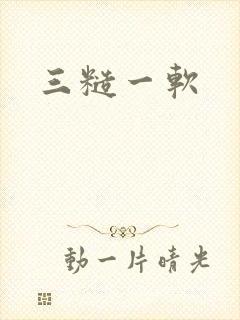 三糙一软