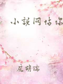 小说网站你懂的