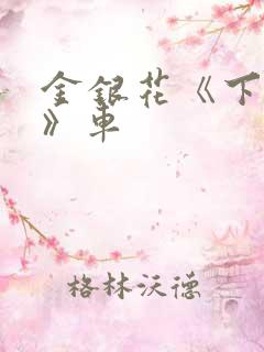 金银花《下厨房》车