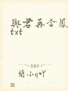 与君再合凤求凰txt