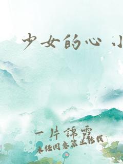 少女的心 小说