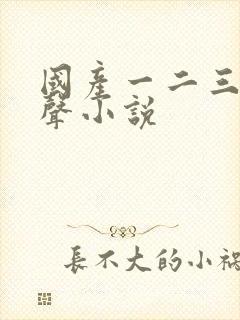 国产一二三区有声小说