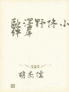 欧泽野佟小曼无弹屏