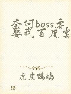 奈何boss要娶我百度云